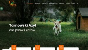 Tarnowski Azyl dla psów i kotów realizacje-min